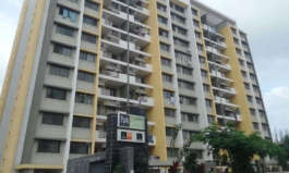 pride-purple park springs